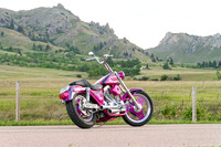 Dream Rides Pink