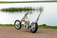 DSD_5943