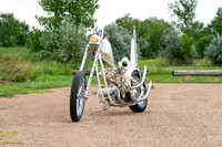DSD_5979