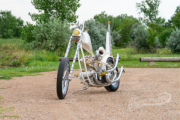 DSD_5979