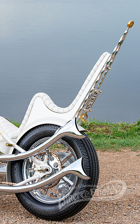 DSD_6010