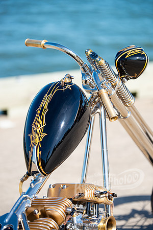 DSD_6329