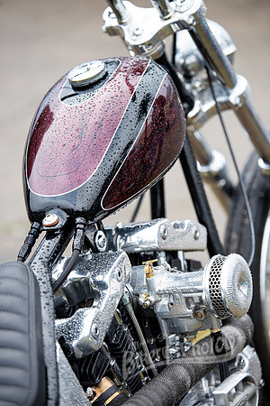 DSD_6660