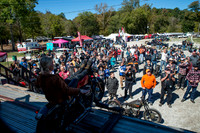 DSD_1515